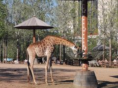 -大连森林动物园