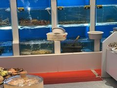 -赶海部落海鲜城(海阳路店)