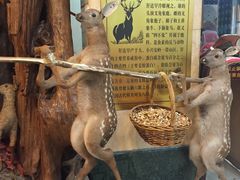 -乔家满族八大碗(流水沟店)