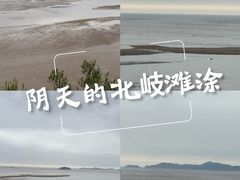 -北岐滩涂