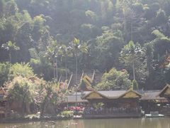 -西双版纳原始森林公园