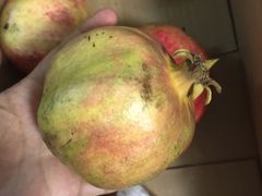 -水果天空(东葛店)