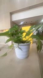 -韩美绣·骨相纹眉·洗眉美瞳线