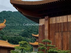 -深圳仙湖植物园