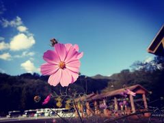 -六鼎山文化旅游区