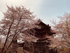 -西安青龙寺遗址景区