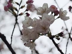 -西北湖绿化广场
