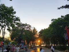-飞来湖湿地公园