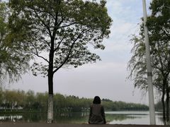 -艾溪湖湿地公园