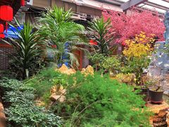 -新千丽景空中花园清真餐厅(新千国际广场店)