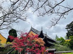 -龙华寺