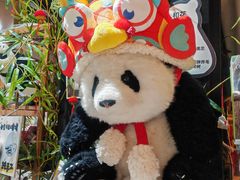 -轩客会(熊猫书店)