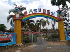 -光明小镇欢乐田园