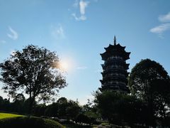 -洋湖国家湿地公园