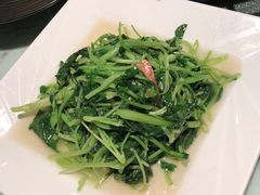 -北京老铺烤鸭(西稍门店)