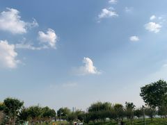-郑东新区龙湖公共艺术中心