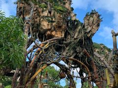 -奥兰多迪士尼动物王国乐园