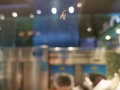 -五星桥原切肥牛火锅(怀德桥店)