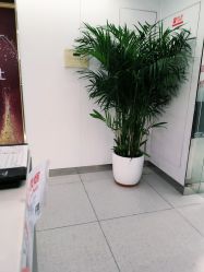 点击看大图 -魔型社烫染店