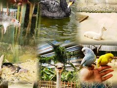 -呀路古热带植物园