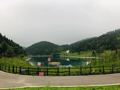 -武陵山森林公园