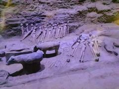 -汉景帝阳陵博物院