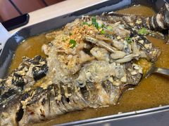 -鱼酷活鱼烤鱼(沈阳大悦城店)