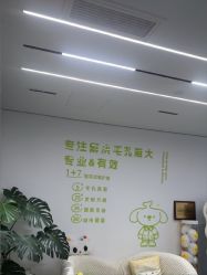 -凡碧诗毛孔清洁收细