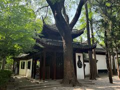 -汇龙潭