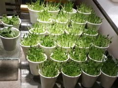 自助调料区-海天盛宴海鲜自助(正大广场店)