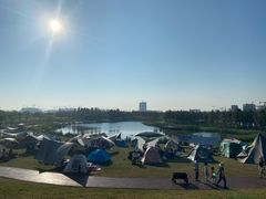 -春花秋色城市公园