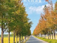 -嘉北郊野公园