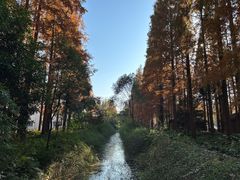 -上海怡沁园度假酒店