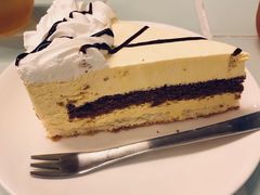 -有猫主题·治愈系猫咖(曾厝垵店)