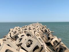 -东疆建设开发纪念公园