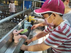 -上海市浦东新区恒宇幼儿园(杨南部)