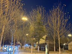 -九十九顶毡房(阜石路店)