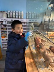 -神奇动物撸宠馆·羊驼·小浣熊·异宠(豫园店)