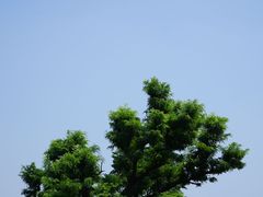 -繁塔