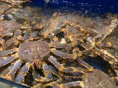 -海景壹号大酒店(滨湖店)