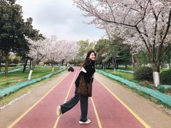 -尚贤河湿地