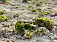 -石螺口海滩