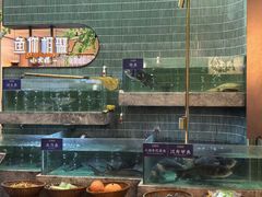 -鱼你相聚·河鲜馆(袁家岭店)