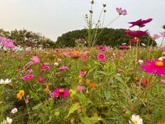 -嘉北郊野公园