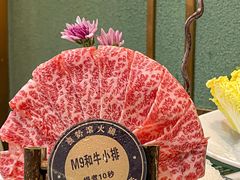 -喜聚薈·花膠雞海鮮火鍋(越秀店)