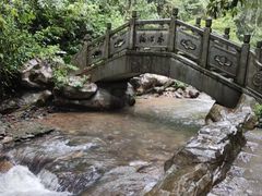 -江西阳明山国家森林公园