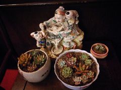 -芳满庭·江浙小馆(1912店)