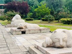 -北京十三陵国家森林公园蟒山景区