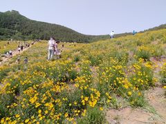-佛慧山
