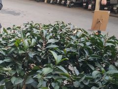 -湖锦酒楼·旗舰店(三阳总店)